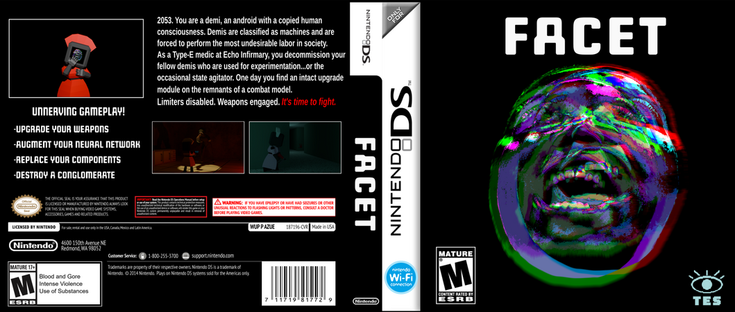 Facet Box Art